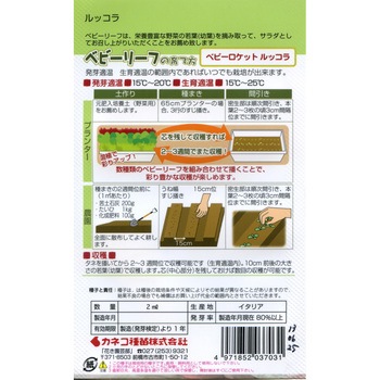 【タネ】ベビーリーフ_ベビーロケット ルッコラ カネコ種苗
