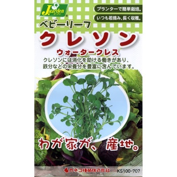 タネ ベビーリーフ クレソン ウォータークレス カネコ種苗 野菜の種 通年 通販モノタロウ 707