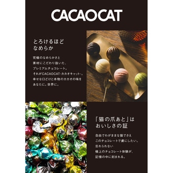 DADACA CACAOCAT ストロベリー CACAOCAT