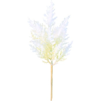 FG -5180 �h���C�p���p�X�V���[�g ���l�f�B�X�v���C�~���[�W�A�� 72729293