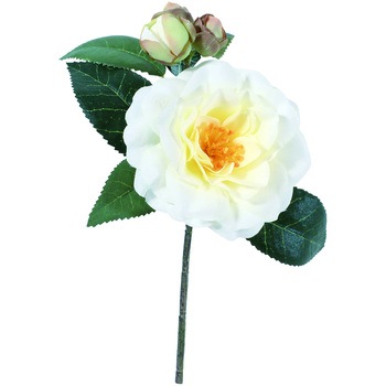 FS -5182 �J�T�l�c�o�L�V���[�g ���l�f�B�X�v���C�~���[�W�A�� 72729494