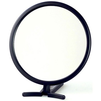 折立ミラー エスコ