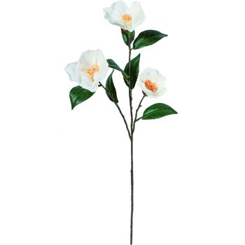 FS -5321 ツバキスプレー 横浜ディスプレイミュージアム 72730185