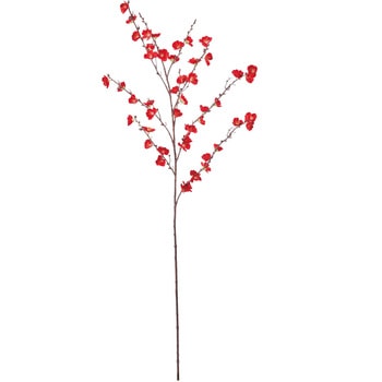 ウメブランチ 横浜ディスプレイミュージアム