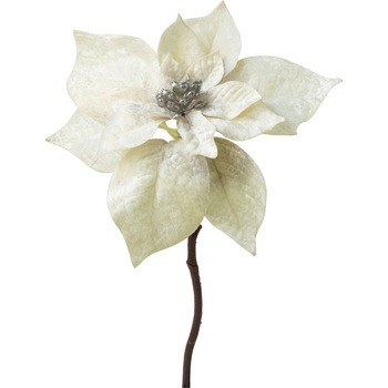 FS -6068 xxbg|CZ`AsbN lfBXvC~[WA 72731558