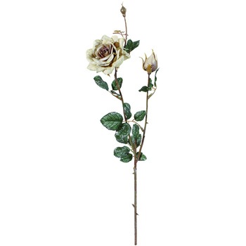 FS -6128 �g�D�C���N�����[�Y ���l�f�B�X�v���C�~���[�W�A�� 72732267