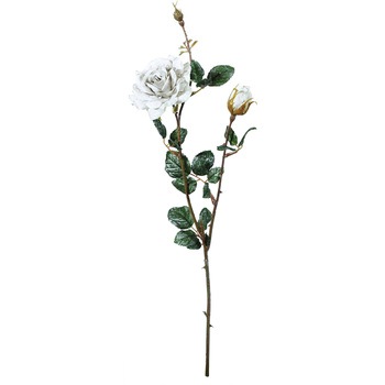 FS -6128 �g�D�C���N�����[�Y ���l�f�B�X�v���C�~���[�W�A�� 72732276