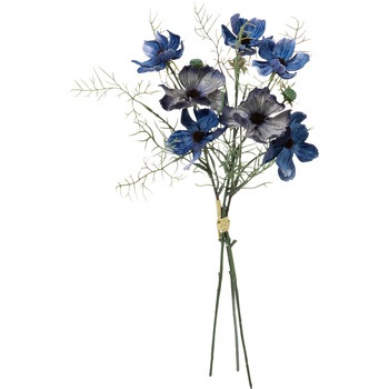 FS -9063 �x���x�b�g�R�X���X�o���h�� ���l�f�B�X�v���C�~���[�W�A�� 72733238