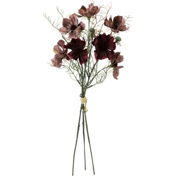 FS -9063 �x���x�b�g�R�X���X�o���h�� ���l�f�B�X�v���C�~���[�W�A�� 72733256