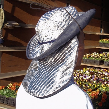 �e���K������������� ��������� ���؎Y�� 72738114