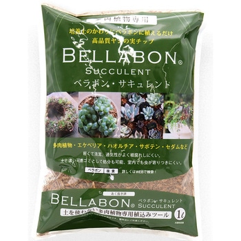 ベラボン・サキュレント フジック