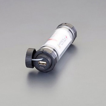 点検ライト/伸縮柄(防水型) エスコ