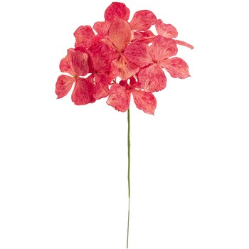 最旬トレンドパンツ カレンハイドレンジアピック 最旬トレンドパンツ カレンハイドレンジアピック