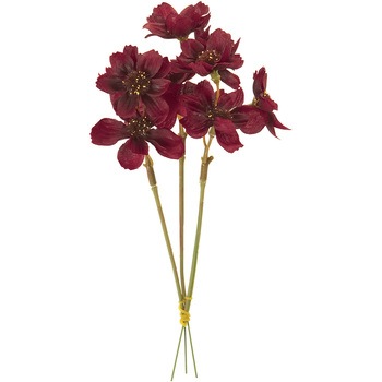 FM004215-007 �R�X���X�s�b�N MAGIQ(������) 72775965