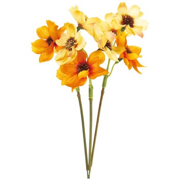 FM004215-009 �R�X���X�s�b�N MAGIQ(������) 72775974