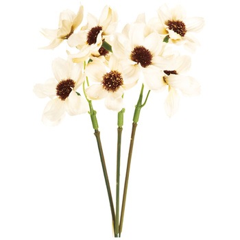 FM004215-030 �R�X���X�s�b�N MAGIQ(������) 72775983