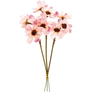 FM004215-050 �R�X���X�s�b�N MAGIQ(������) 72775999