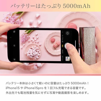 VEGER【パワーバンク】5000mAh Type-C リップサイズの小型モバイルバッテリー VEGER(ベガー)