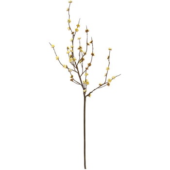 FJ001728-004 W~} MAGIQ() 72777767