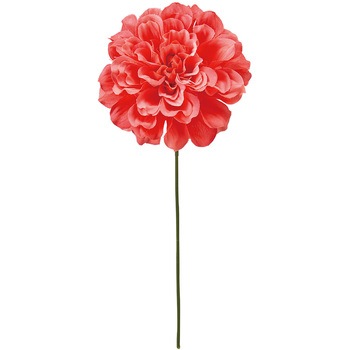 FM000414-028 �v���C���_���A�s�b�N MAGIQ(������) 72778564