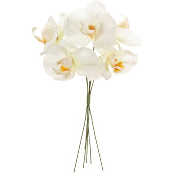 FM000757-001 �v�e�B�t�@���m�s�b�N MAGIQ(������) 72778607