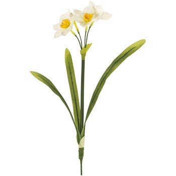 FM003684-001 ���{���� MAGIQ(������) 72778939