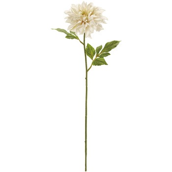 FM005188-037 �_���A�G���K���e MAGIQ(������) 72779045