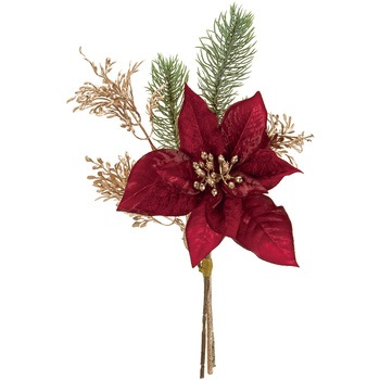 FX001504-003 キャロルポインセチアバンドル MAGIQ(東京堂) 72779474