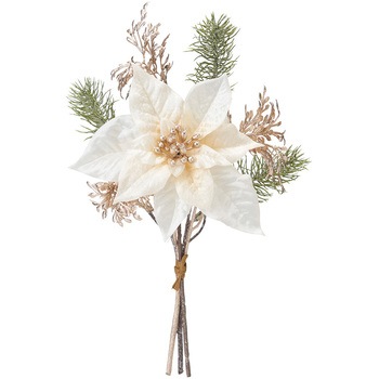 FX001504-037 キャロルポインセチアバンドル MAGIQ(東京堂) 72779499