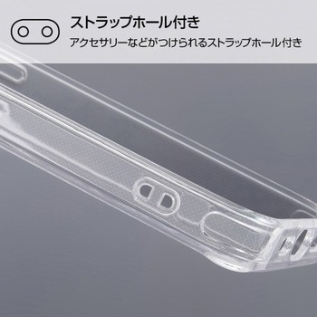 iPhone 13 Pro ハイブリッド レイ・アウト