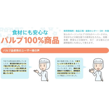 エリエールペーパータオル セレクトエンボスタイプ エリエール
