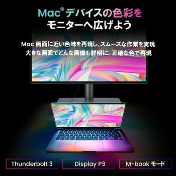 液晶ディスプレイ 31.5型/3840×2160/HDMI、DisplayPort、Thunderbolt/シルバー/スピーカー：あり BenQ(ベンキュー)
