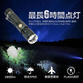 充電式LED懐中電灯 ズーム機能 バッテリー交換可能 専用ケース付き GOODGOODS(グッド・グッズ)