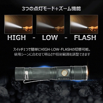 充電式LED懐中電灯 ズーム機能 バッテリー交換可能 専用ケース付き GOODGOODS(グッド・グッズ)