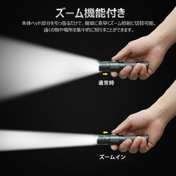 充電式LED懐中電灯 ズーム機能 バッテリー交換可能 専用ケース付き GOODGOODS(グッド・グッズ)