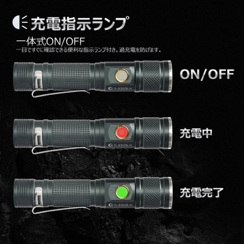 充電式LED懐中電灯 ズーム機能 バッテリー交換可能 専用ケース付き GOODGOODS(グッド・グッズ)