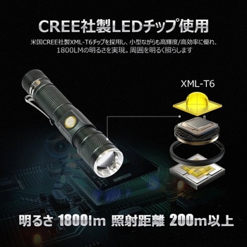 充電式LED懐中電灯 ズーム機能 バッテリー交換可能 専用ケース付き GOODGOODS(グッド・グッズ)