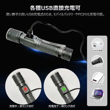 充電式LED懐中電灯 ズーム機能 バッテリー交換可能 専用ケース付き GOODGOODS(グッド・グッズ)