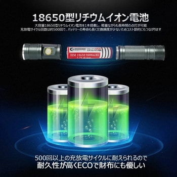 充電式LED懐中電灯 ズーム機能 バッテリー交換可能 専用ケース付き GOODGOODS(グッド・グッズ)