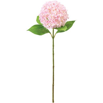 FM000540-002 �{�k�[���n�C�h�����W�A ������ 72890706