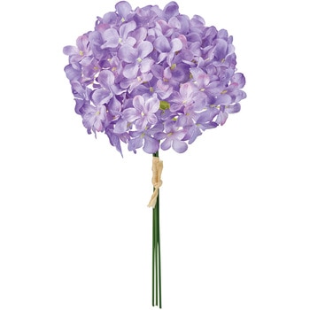 FM000950-011 ���C�n�C�h�����W�A�o���h�� MAGIQ(������) �������� �n�C�h�����W�A 72891126