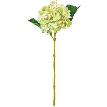 FM001207-125 �u���[�Y�n�C�h�����W�A MAGIQ(������) �������� �n�C�h�����W�A 72891230