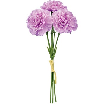 FM002568-051 ���C�J�[�l�[�V�����s�b�N ������ 1��(3�{) FM002568-051 72891835