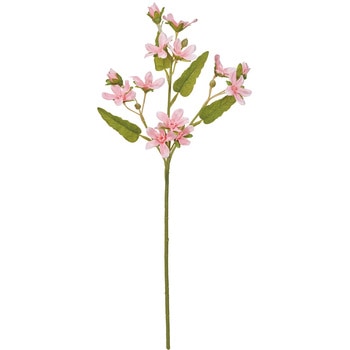 FM006237-002 �u���[�X�^�[�J���� MAGIQ(������) 72892700