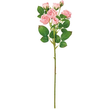 FM006781-006 �V���V�����[�Y MAGIQ(������) ���[�Y �΂� 72892736