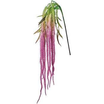 FM006951-042 ���F���_�[�A�}�����T�X MAGIQ(������) �A�}�����T�X 72892770