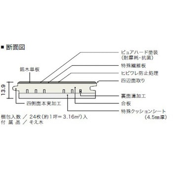 HLPW0017L4N2 ライブナチュラルORIGINAL ネダレス145 LL45 1箱(24枚