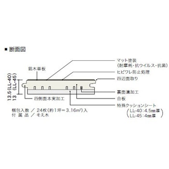 ライブナチュラルMSX ネダレス145 LL40 朝日ウッドテック マンション直