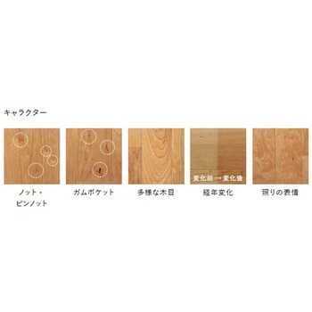 ライブナチュラルORIGINAL ピュアハード塗装 朝日ウッドテック