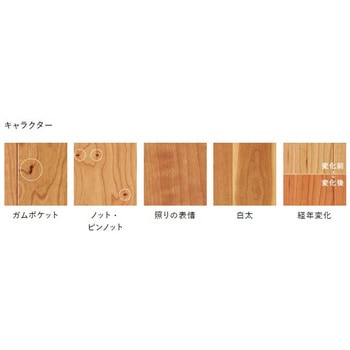 ライブナチュラルプラス for Dog 朝日ウッドテック